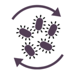 SIBO kehr immer wieder zurück